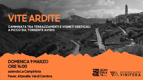 VIte ardite