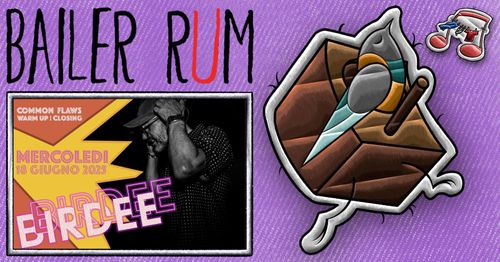 🪩BaBaBAILER_RUM🪩 DJ BIRDEE