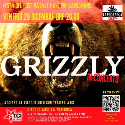 Festa di post Natale e Pre Capodanno - Grizzly in concerto