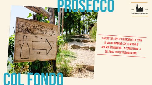 Valdo Col Fondo: viaggio tra i diversi terroir della zona di Valdobbiadene