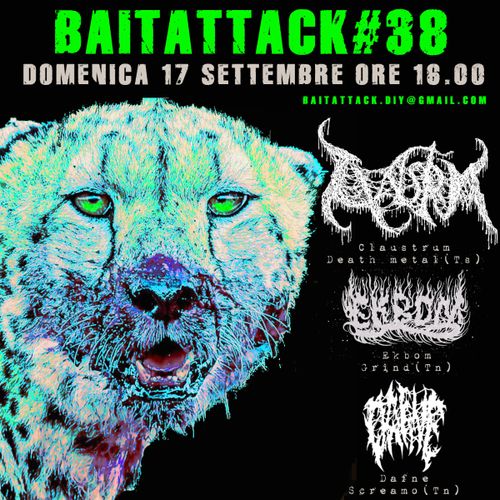 Claustrum + Ekbom + Dafne